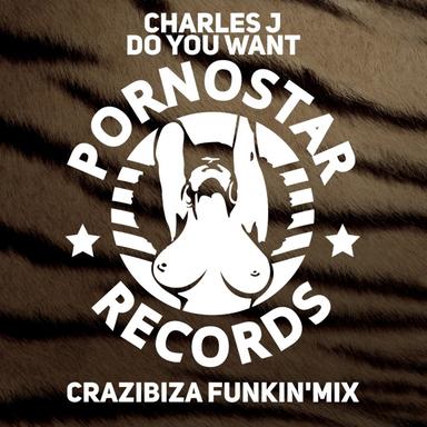 Do You Want - Crazibiza Remix