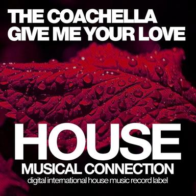 Give Me Your Love - Dub Mix
