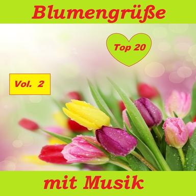 Top 20: Blumengrüße mit Musik, Vol. 2