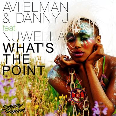 What's the Point (feat. Nuwella) (Seamus Haji Remix)