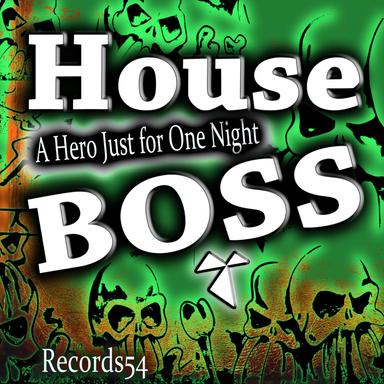 A Hero Just for One Night