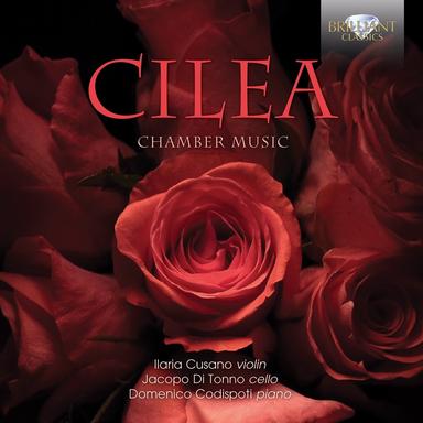 Cello Sonata in D Major: II. Alla Romanza. Largo doloroso