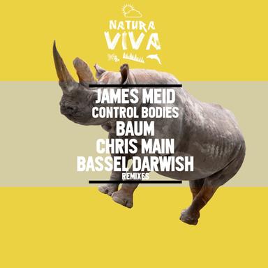 Control Bodies - Baum Remix
