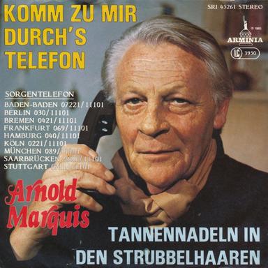 Tannennadeln in den Strubbelhaaren