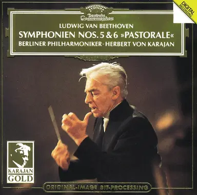Symphony No. 5 in C Minor, Op. 67: I. Allegro con brio