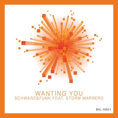 Wanting You - Miller Cruz Brazil Mix Radio Edit