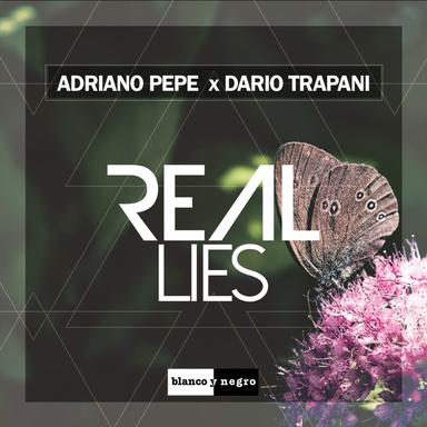 Real Lies - Radio Edit
