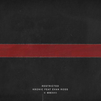 Restricted (feat. Evan Ross) - James Hype Club Mix