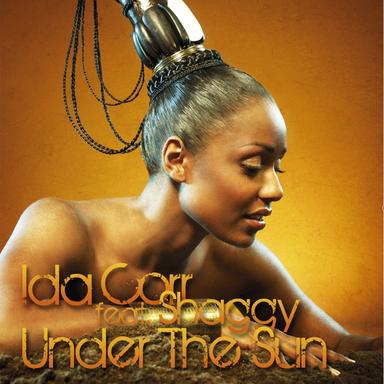 Under The Sun (feat. Shaggy) - Jason Gault Extended