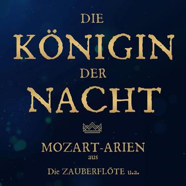 Music to a Pantomime (Pantalon und Colombine), K. 446: IV. Adagio