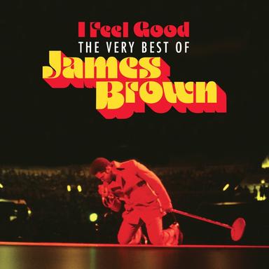 I Got the Feelin' (Single Version)