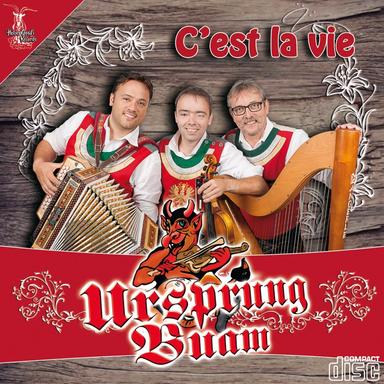 Musizieren geh'n