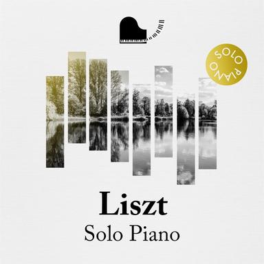 Piano Sonata in B Minor, S. 178: IV Allegro energico - Lento assai