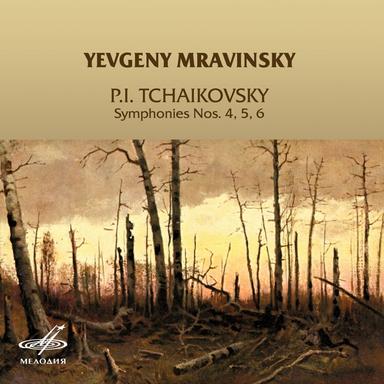 Symphony No. 4 in F Minor, Op. 36: I. Andante sostenuto - Moderato con anima