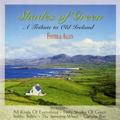 Aon Focal Eile