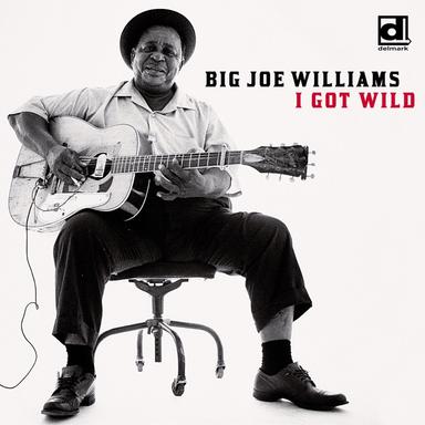 Bull Cow Blues