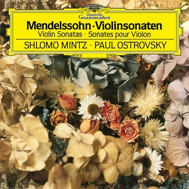 Violin Sonata in F Minor, Op. 4, MWV Q12: 3. Allegro agitato