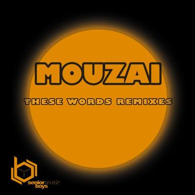 These Words - Viral Gucci's Jigsaw Mix