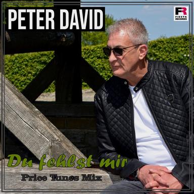 Du fehlst mir - Price Tunes Mix