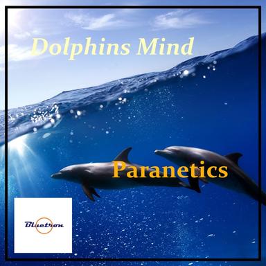 Dolphins Mind - Herzsprung Version
