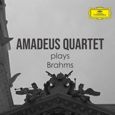 String Quartet No. 2 in A Minor, Op. 51, No. 2: I. Allegro non troppo