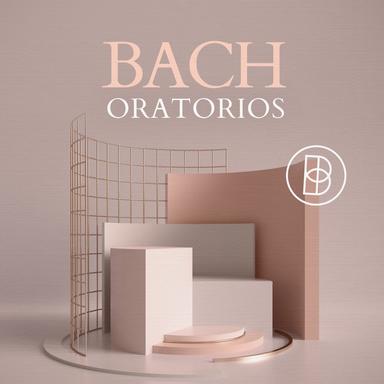 Easter Oratorio, BWV 249: II. Adagio