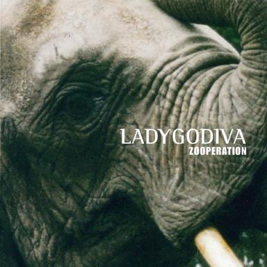 In der Weihnachtsbäckerei