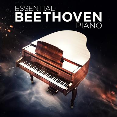 Piano Sonata No. 8 in C Minor, Op. 13 "Pathétique": I. Allegro di molto