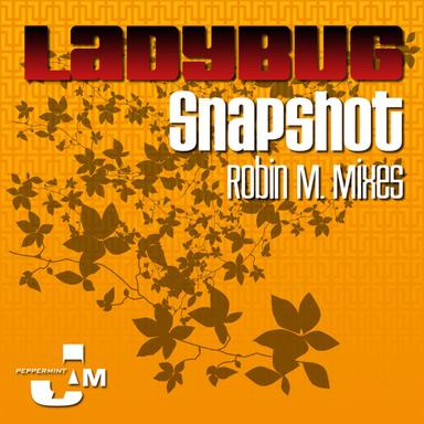 Snapshot - Robin M. Instrumental