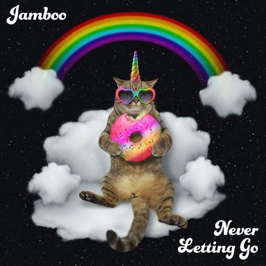Never Letting Go - Radio Mix