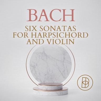 Violin Sonata No. 4 in C Minor, BWV 1017: IV. Allegro