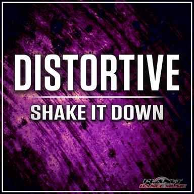 Shake It Down - Radio Edit