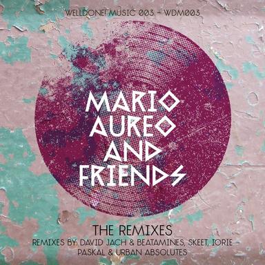 Turn It Around - Iorie Remix