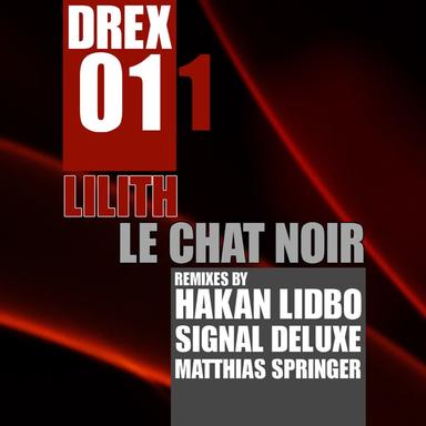 Le Chat Noir (Matthias Springer Remix)