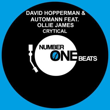 Crytical - Damian William Remix