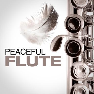 Nocturne No. 1, Op. 37: I. Largo non troppo