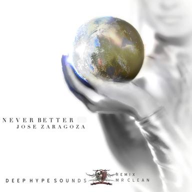 Own Your House - Mr. Clean Own's Your House