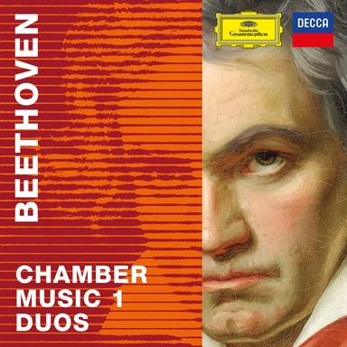 Duo for Two Flutes, WoO 26: 1. Allegro con brio
