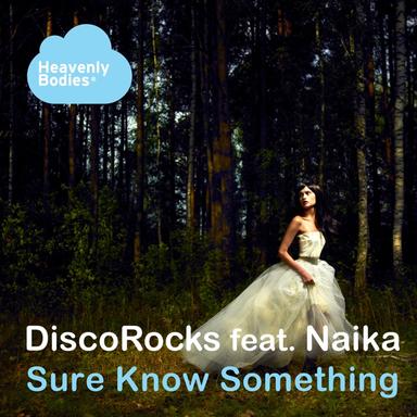 Sure Know Something - Johnny Bravo Beach Breez Instrumental Mix
