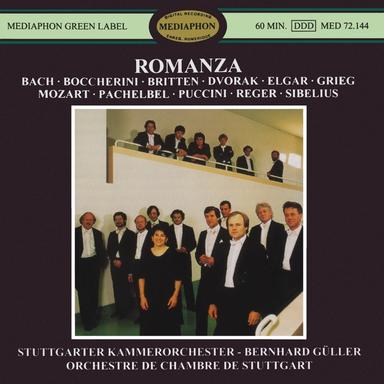 Romance - Andante espressivo in G Minor - Arr. from String Quartet No. 1, TH ii/30