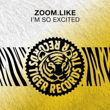 I'm so Excited - Extended Mix