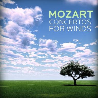 Concerto No. 1 in G Major for Flute and Orchestra, K. 313: II. Adagio non troppo