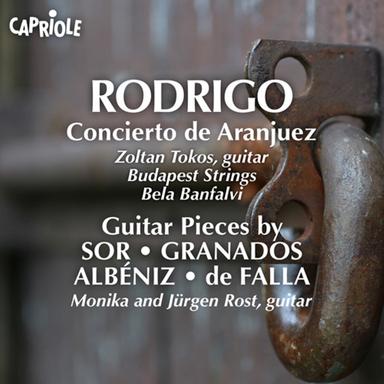 Concierto de Aranjuez: I. Allegro con spirito