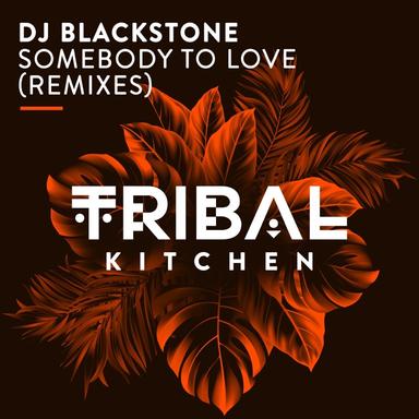 Somebody to Love - DJ Kone & Marc Palacios Remix