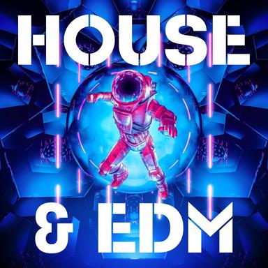 House On Fire (BRS Mix)