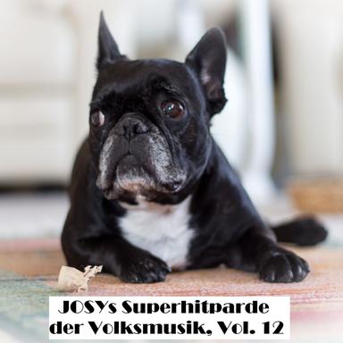 Wir sind alle ein wenig behämmert