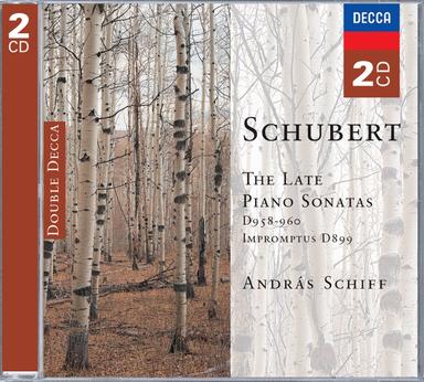 Piano Sonata No. 21 in B flat, D.960: 2. Andante sostenuto