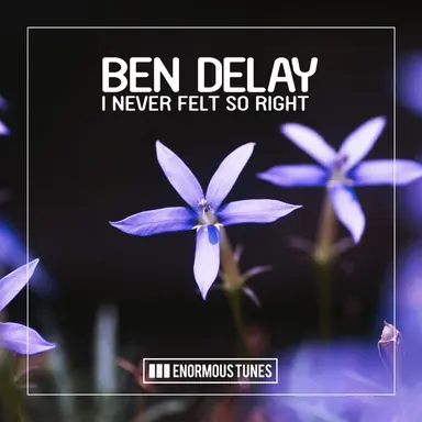 I Never Felt so Right (Radio Mix)