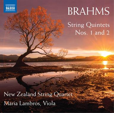 String Quintet No. 1 in F Major, Op. 88 "Spring": III. Finale. Allegro energico