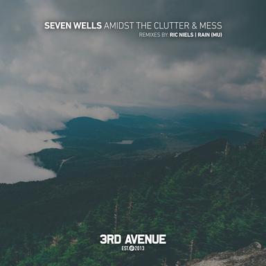 Amidst the Clutter & Mess - Ric Niels Remix